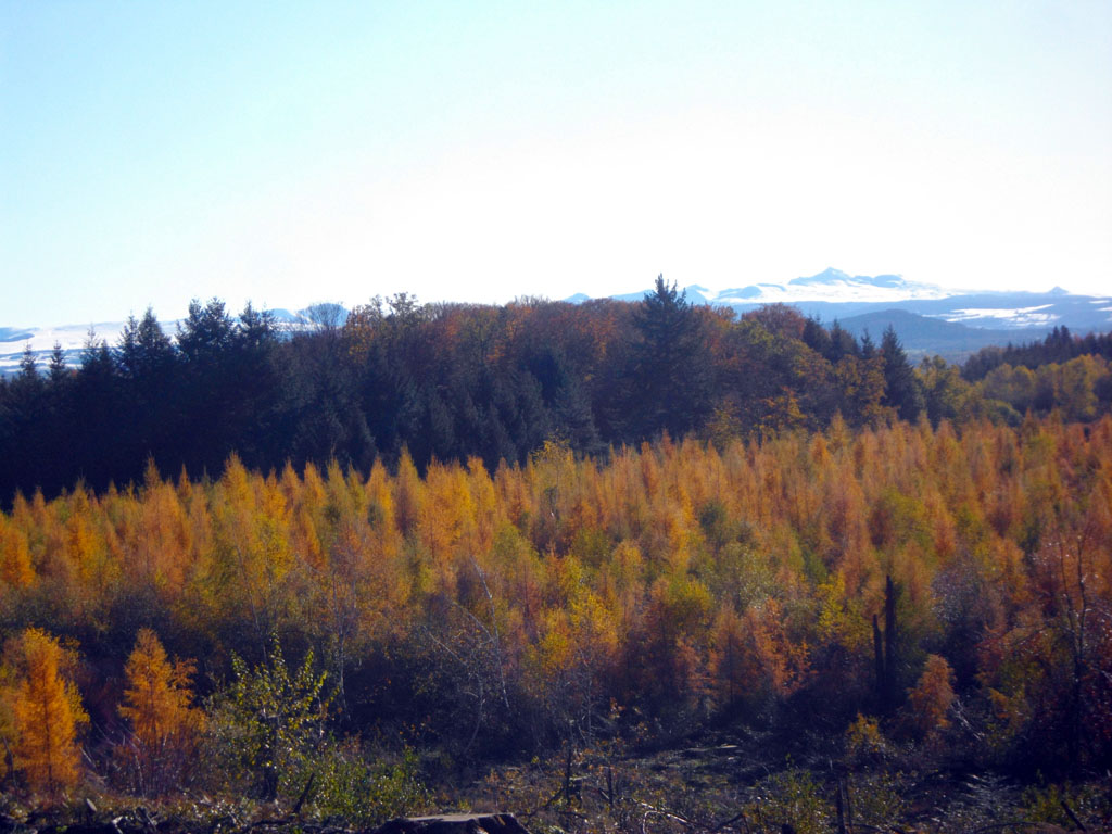 A la naissance du Chavanon - Parcours PAPSE, Laroche-près-Feyt - photo 4
