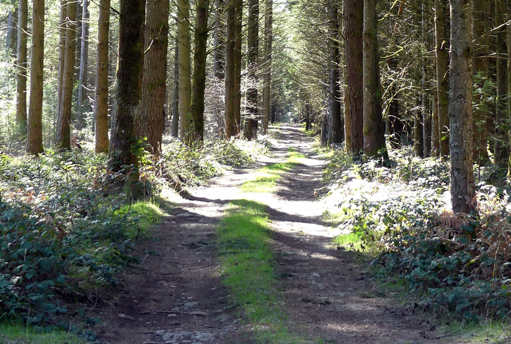 Chemin de la factrice, Aix - photo 7