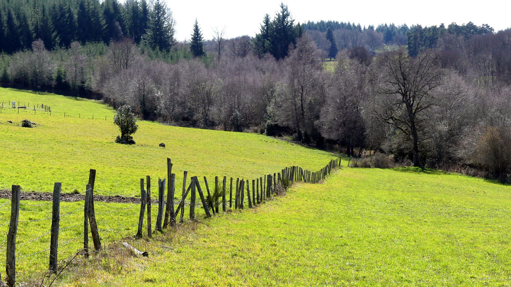 Chemin de la factrice, Aix - photo 3