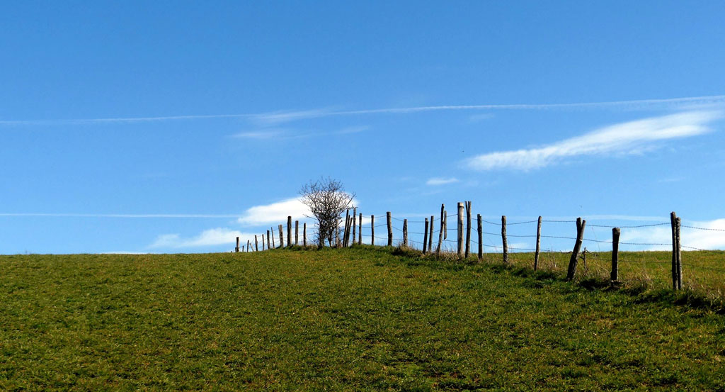 Chemin de la factrice, Aix - photo 8
