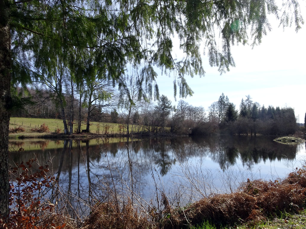 Chemin de la factrice, Aix - photo 5