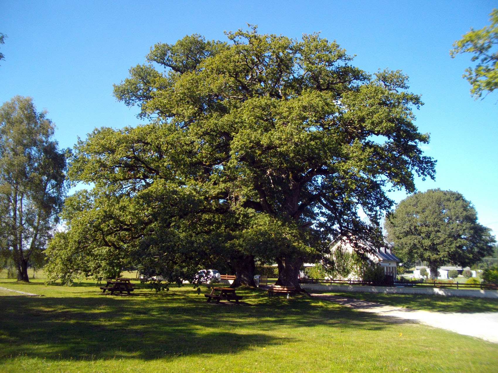 Les Ermites, Monestier-Merlines - photo 2
