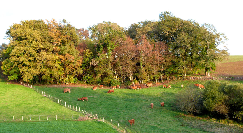 Des vergers aux berges de la Corrèze, Saint-Hilaire-Peyroux