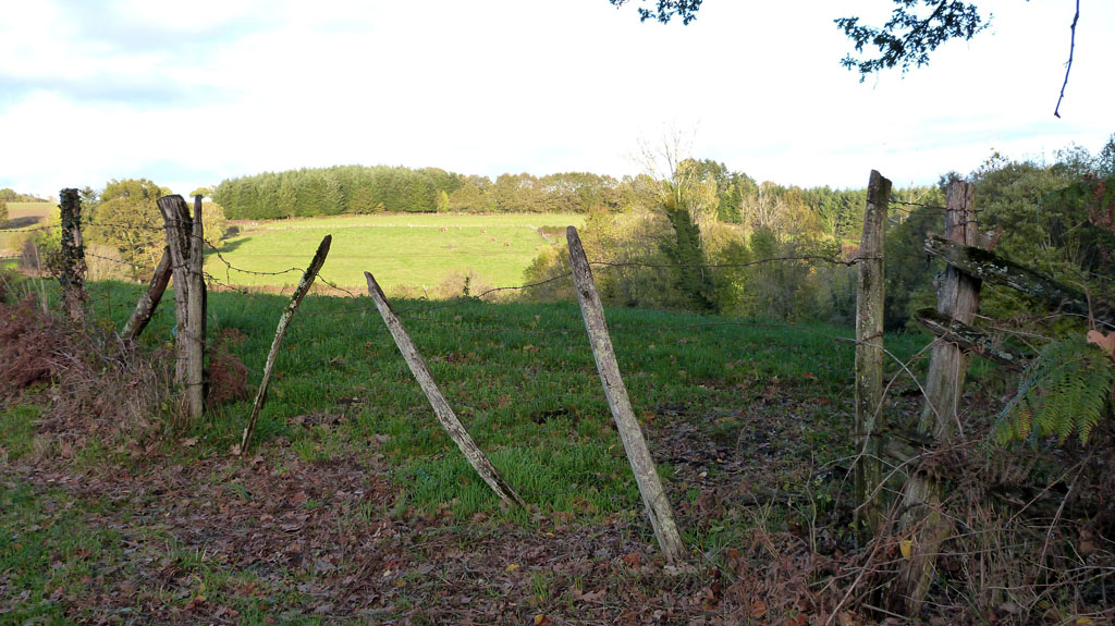 Des vergers aux berges de la Corrèze, Saint-Hilaire-Peyroux - photo 8