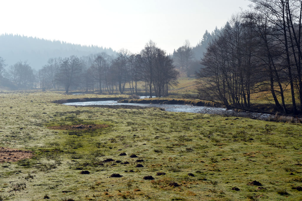 Le prieuré de Saint-Angel, Saint-Angel - photo 6