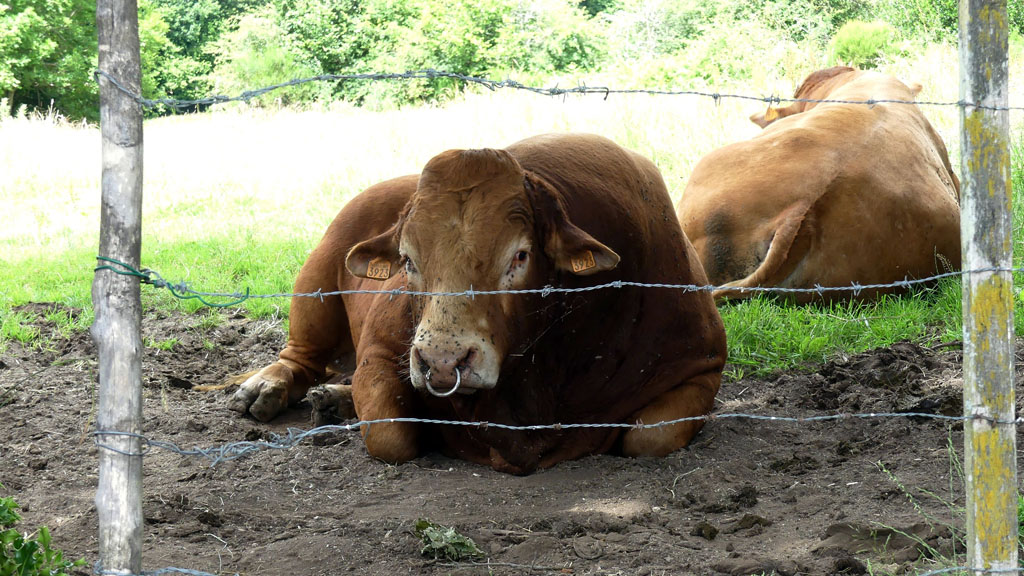 Mystèrieuses fontaines