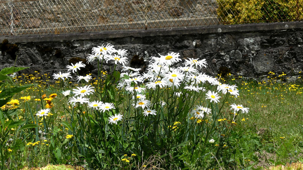 Mystèrieuses fontaines, Alleyrat - photo 14