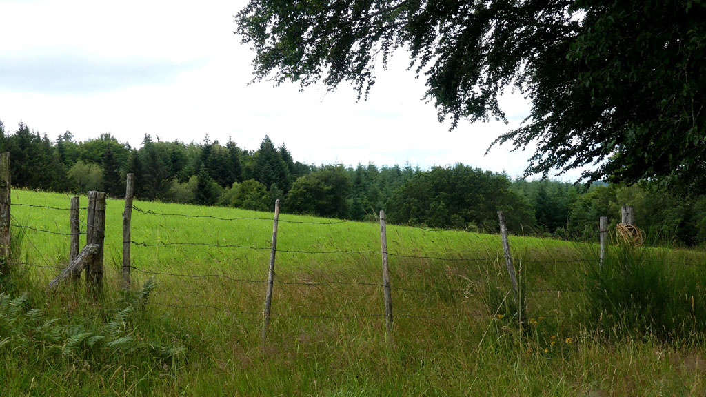 Mystèrieuses fontaines, Alleyrat - photo 11