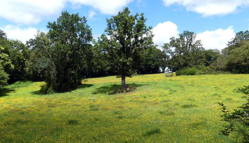 Mystèrieuses fontaines, Alleyrat - photo 13