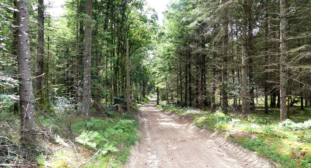 Mystèrieuses fontaines, Alleyrat - photo 15