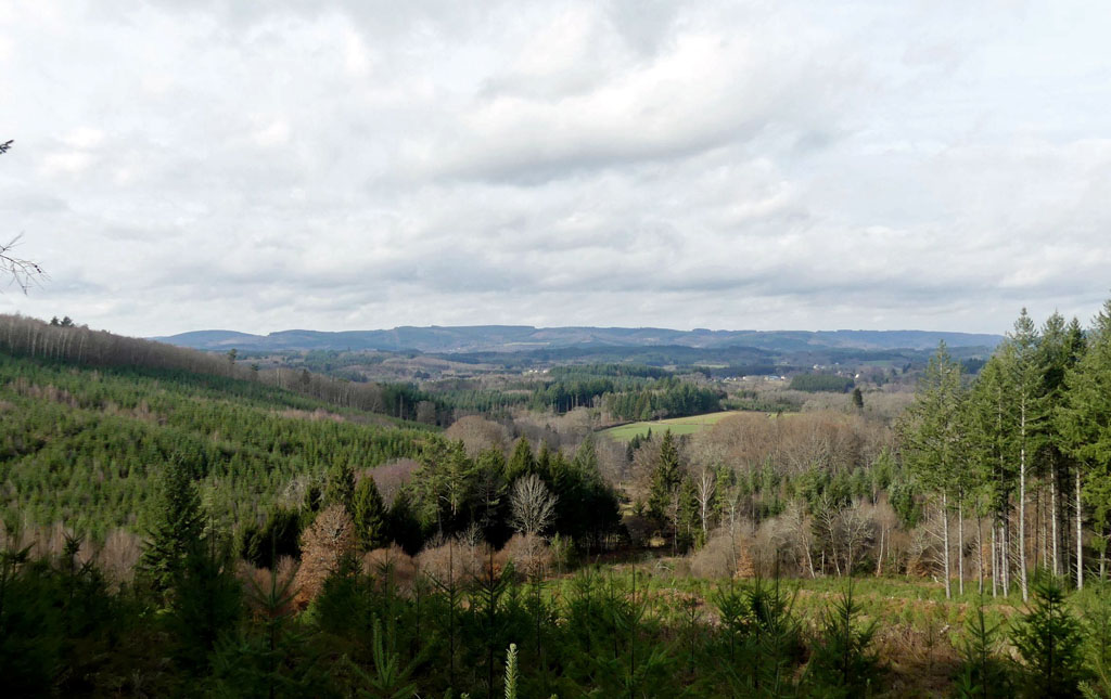 Le chemin des abbesses, Combressol - photo 4