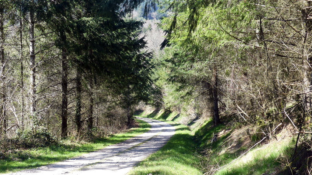 Au charbon !, Maussac - photo 10