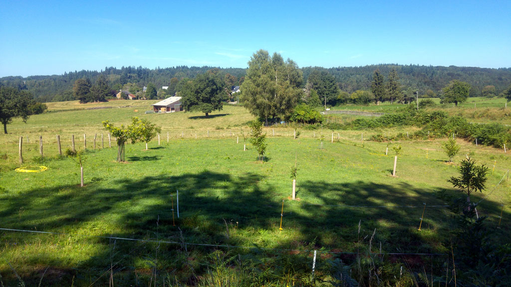 Au fil de l’eau, Saint-Hilaire-Luc - photo 4