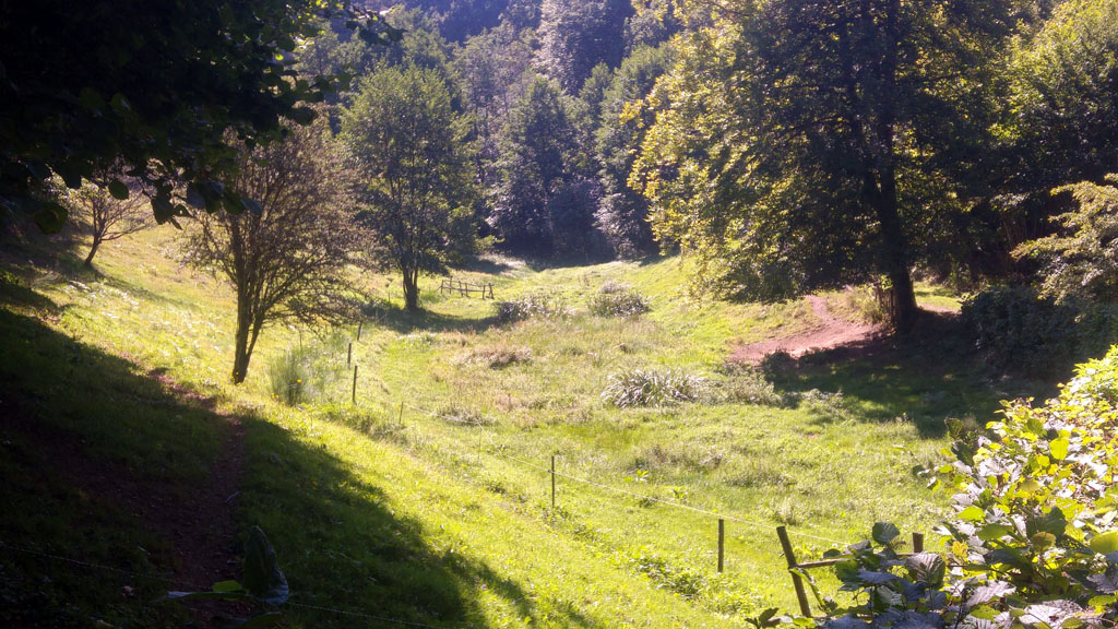 Au fil de l’eau, Saint-Hilaire-Luc - photo 2