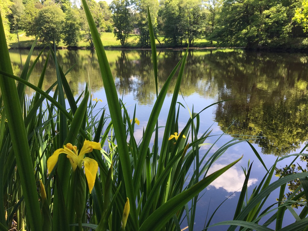 Le grand tour de Sédières, Clergoux