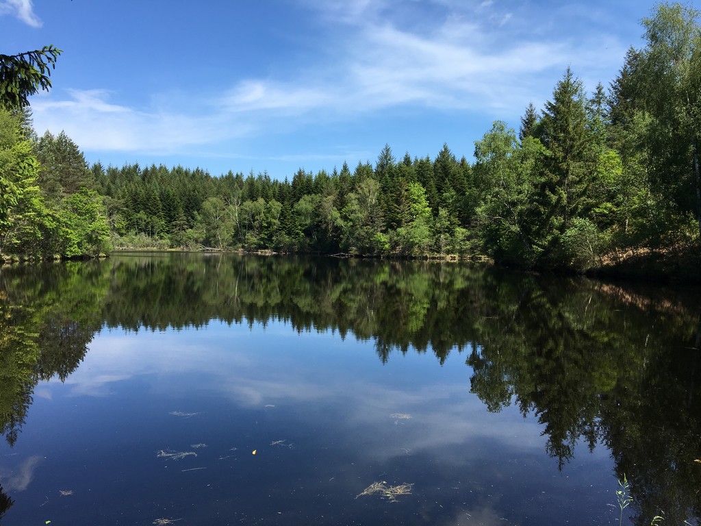Base VTT de Sédières – Circuit n° 2 - Cèpes et Châtaignes, Clergoux - photo 6