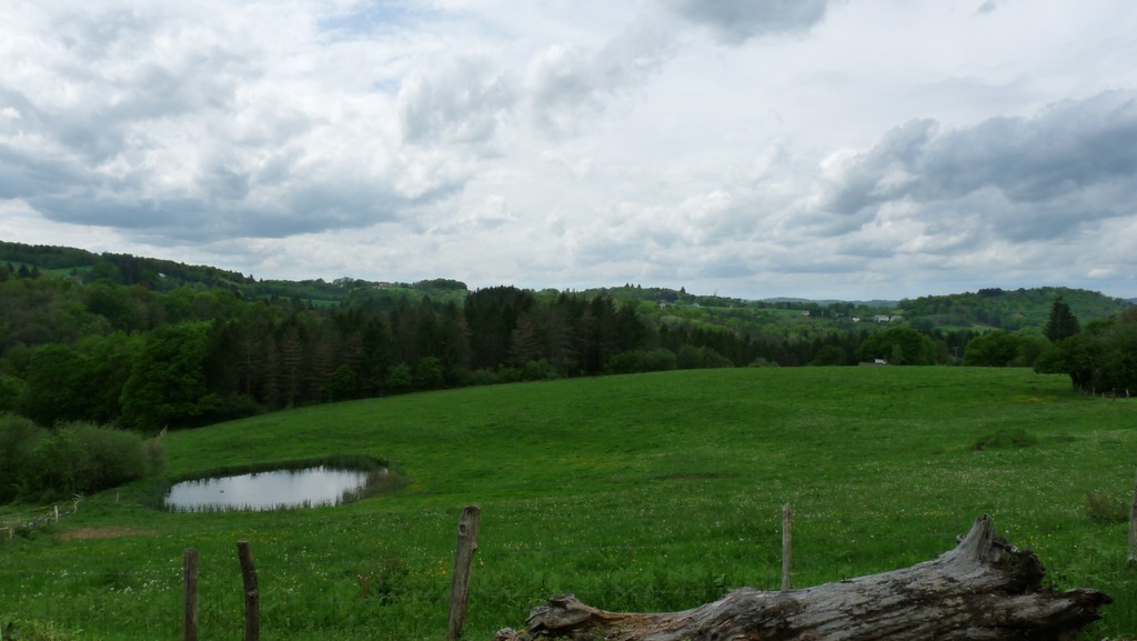 Les Vignes, Laguenne-sur-Avalouze