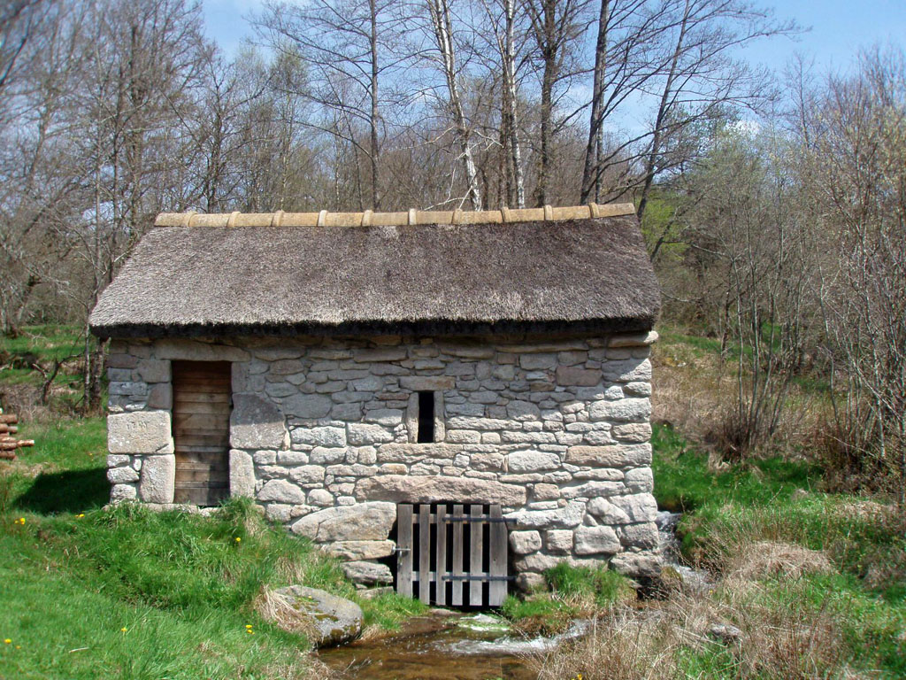 Du site des Cars à la tourbière du Longeyroux, Saint-Merd-les-Oussines - photo 5