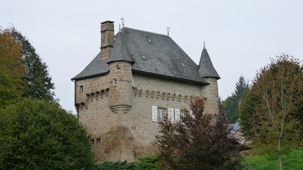 De feuilles en aiguilles (variante de 11 km), Ambrugeat - photo 4