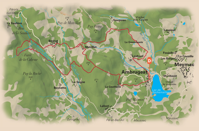 De feuilles en aiguilles (variante de 11 km), Ambrugeat - photo 6