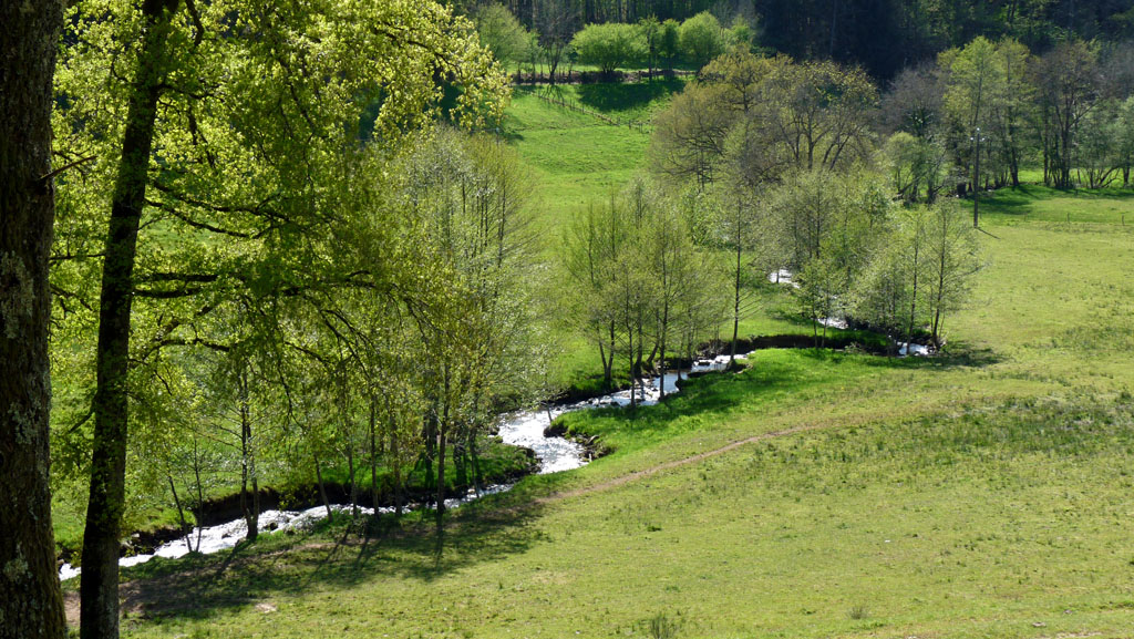 Le pays vert Chanteixois du Puy Maurians aux Zignalets, Chanteix - photo 8