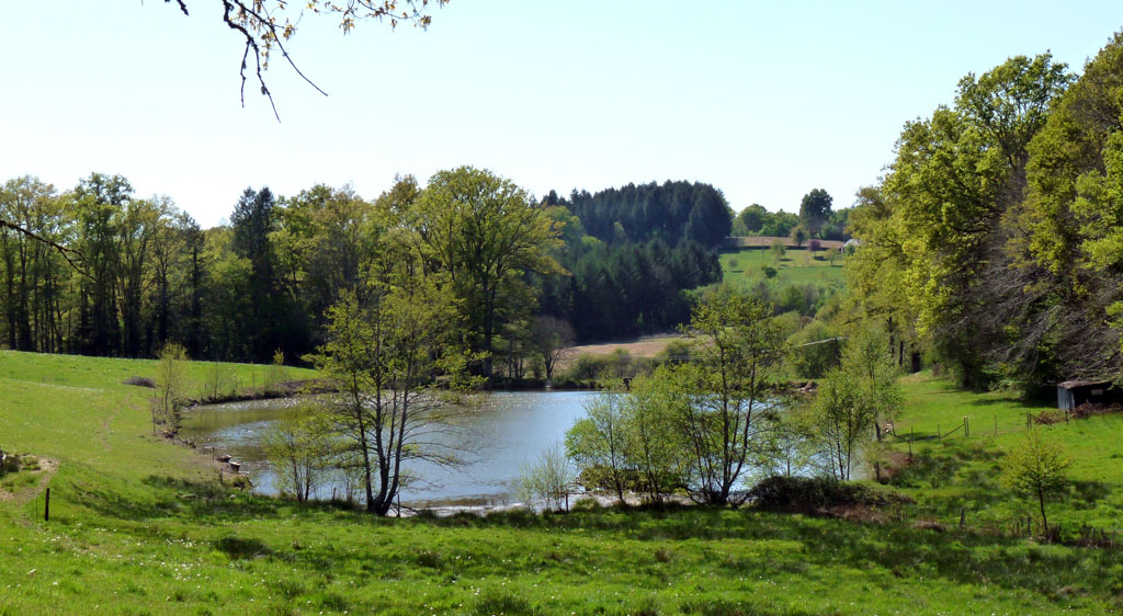 Le pays vert Chanteixois du Puy Maurians aux Zignalets, Chanteix - photo 4