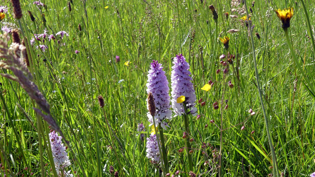 Marchez dans les pas du diable, Sarroux - Saint Julien - photo 8
