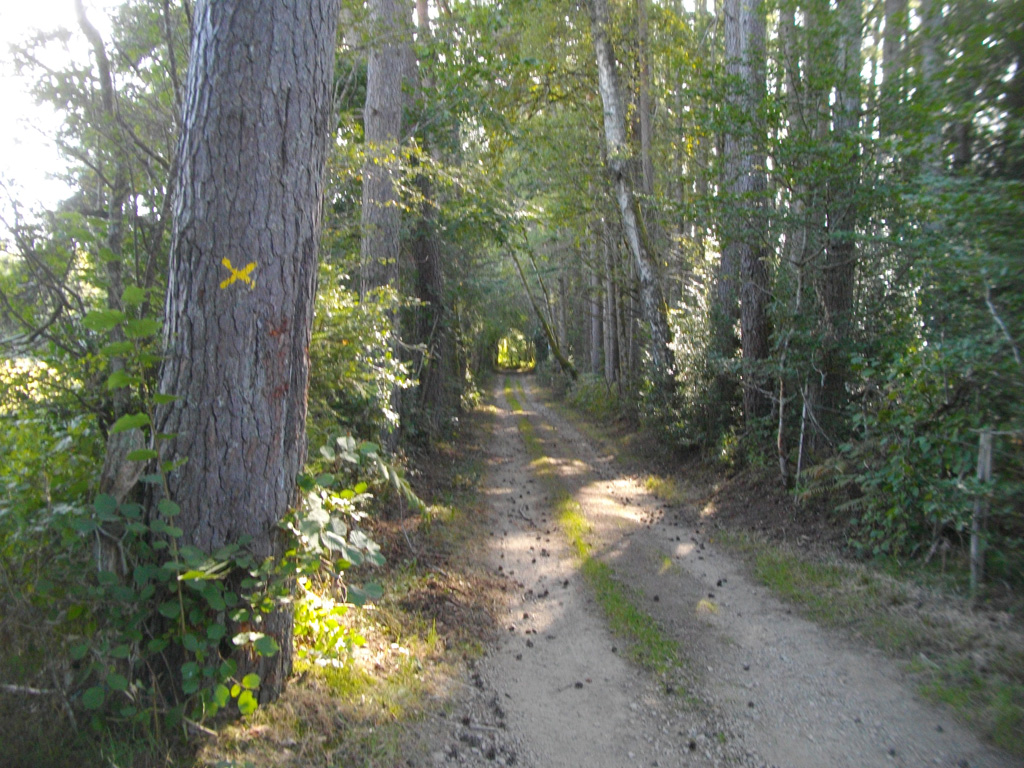 Au coeur du pays vert, Saint-Bonnet-près-Bort - photo 4
