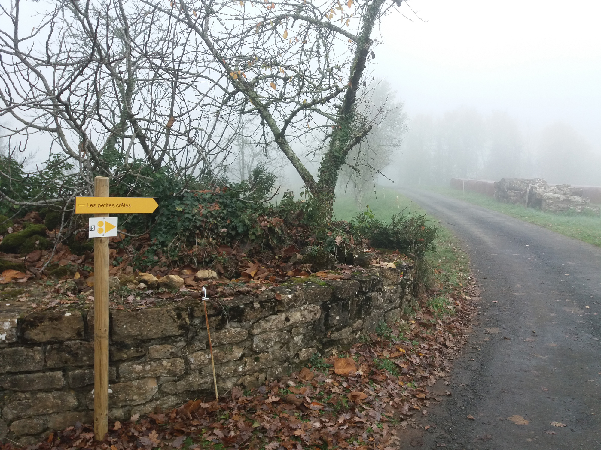 Les petites crêtes, Saillac
