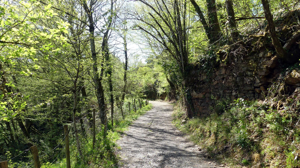 Circuit des Monastères, Aubazines - photo 7