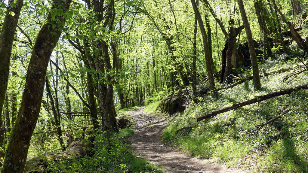 Circuit des Monastères, Aubazines - photo 4