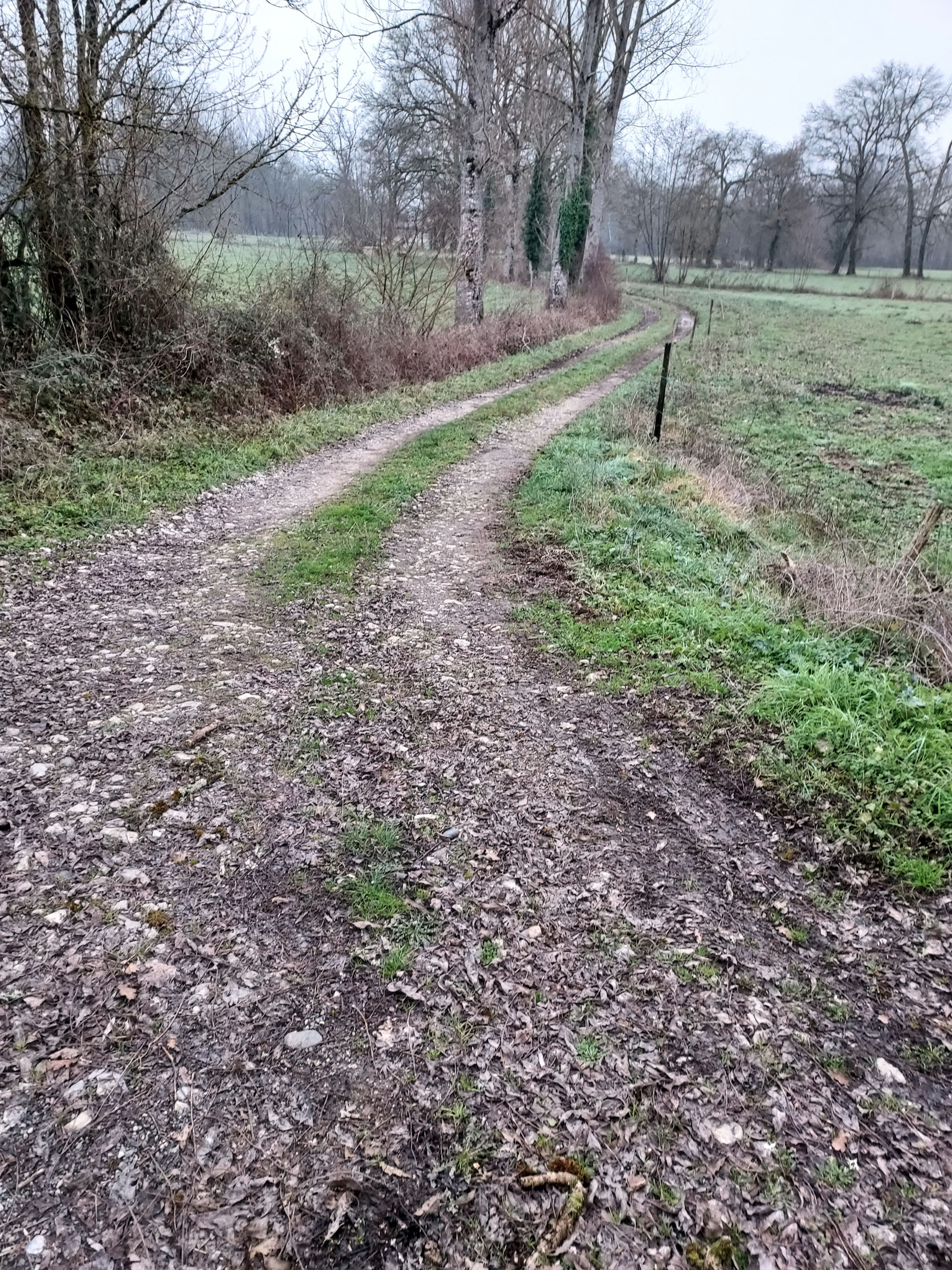 Randonnée Capelloune : 'Sur les traces de Neandertal', La Chapelle-aux-Saints - photo 12