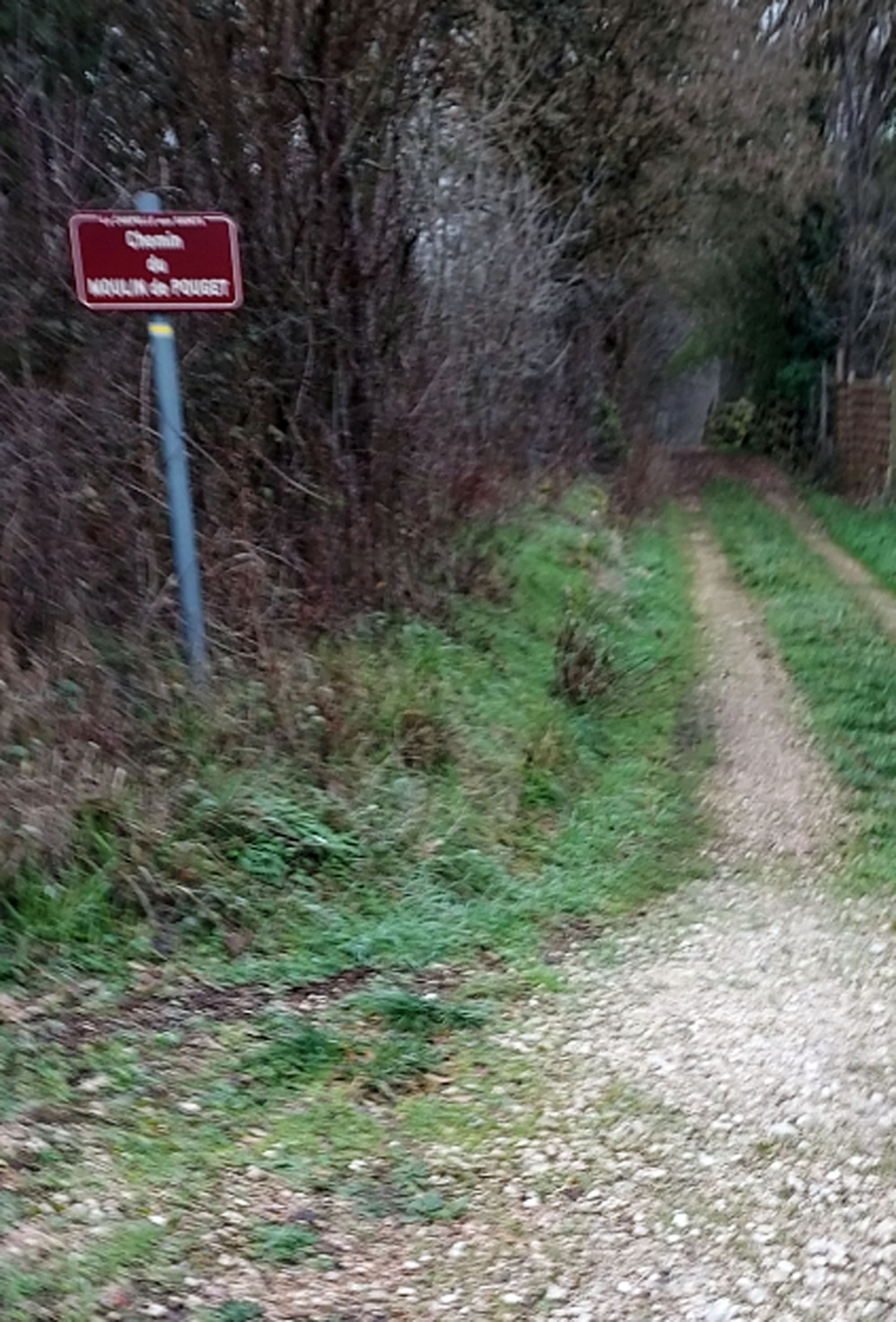 Randonnée Capelloune : 'Sur les traces de Neandertal', La Chapelle-aux-Saints - photo 6