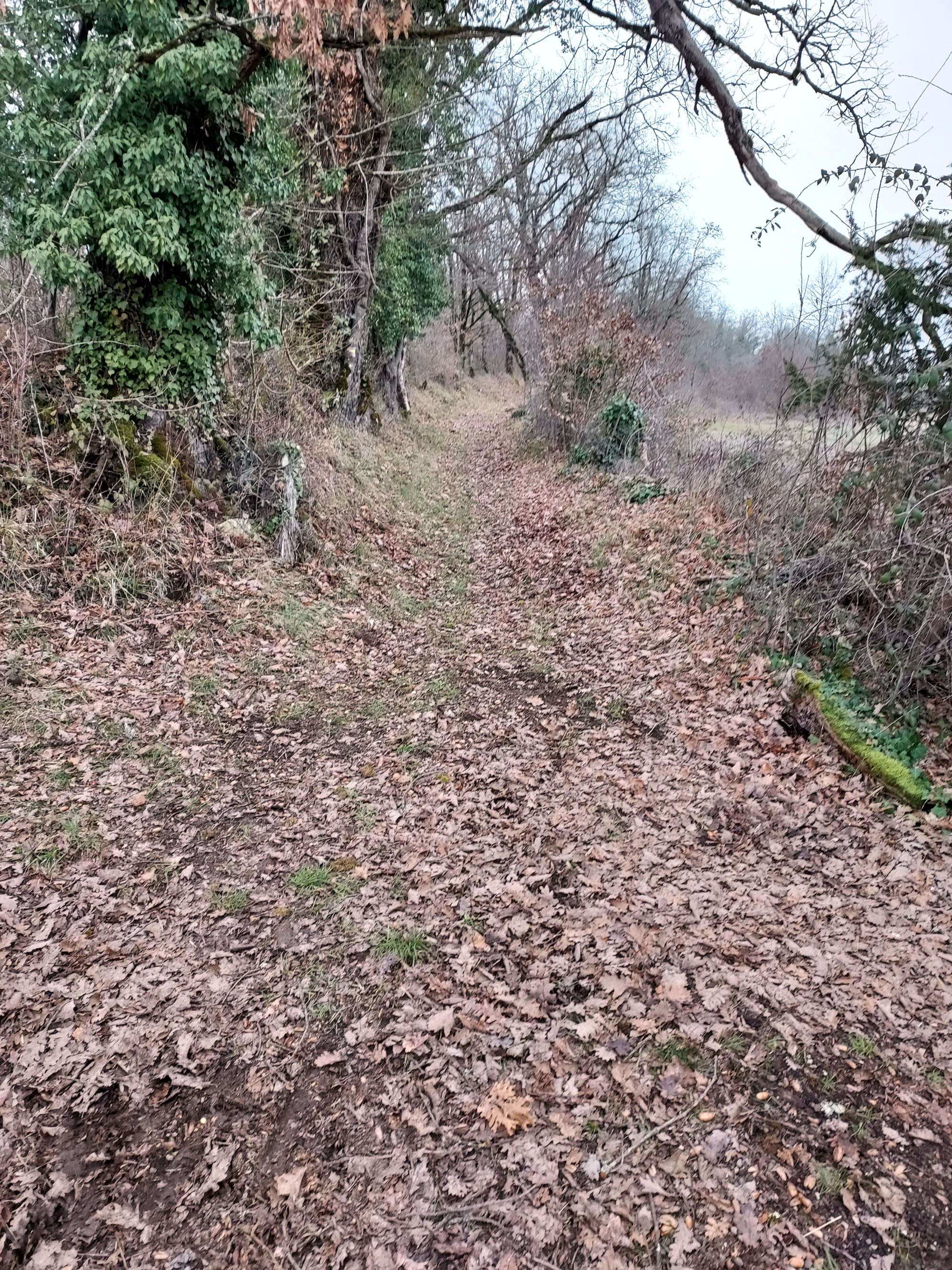 Randonnée Capelloune : 'Sur les traces de Neandertal', La Chapelle-aux-Saints - photo 3