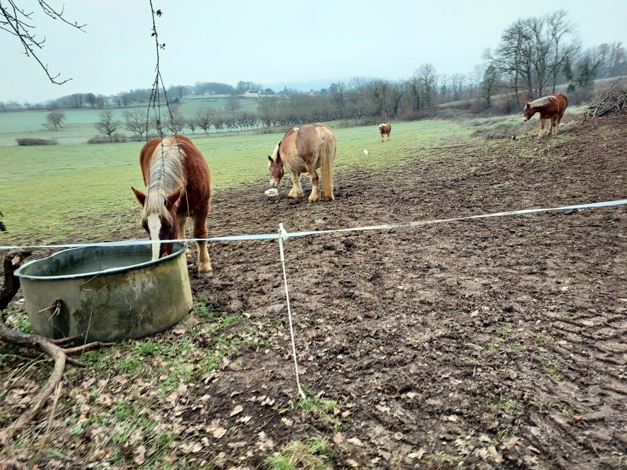 Randonnée Capelloune : 'Sur les traces de Neandertal', La Chapelle-aux-Saints - photo 15