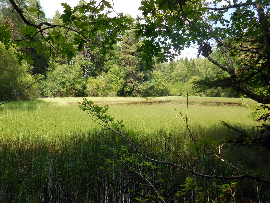 Circuit des étangs, Lamazière-Basse