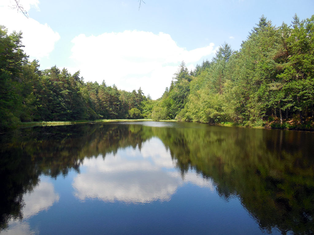 Circuit des étangs, Lamazière-Basse - photo 4
