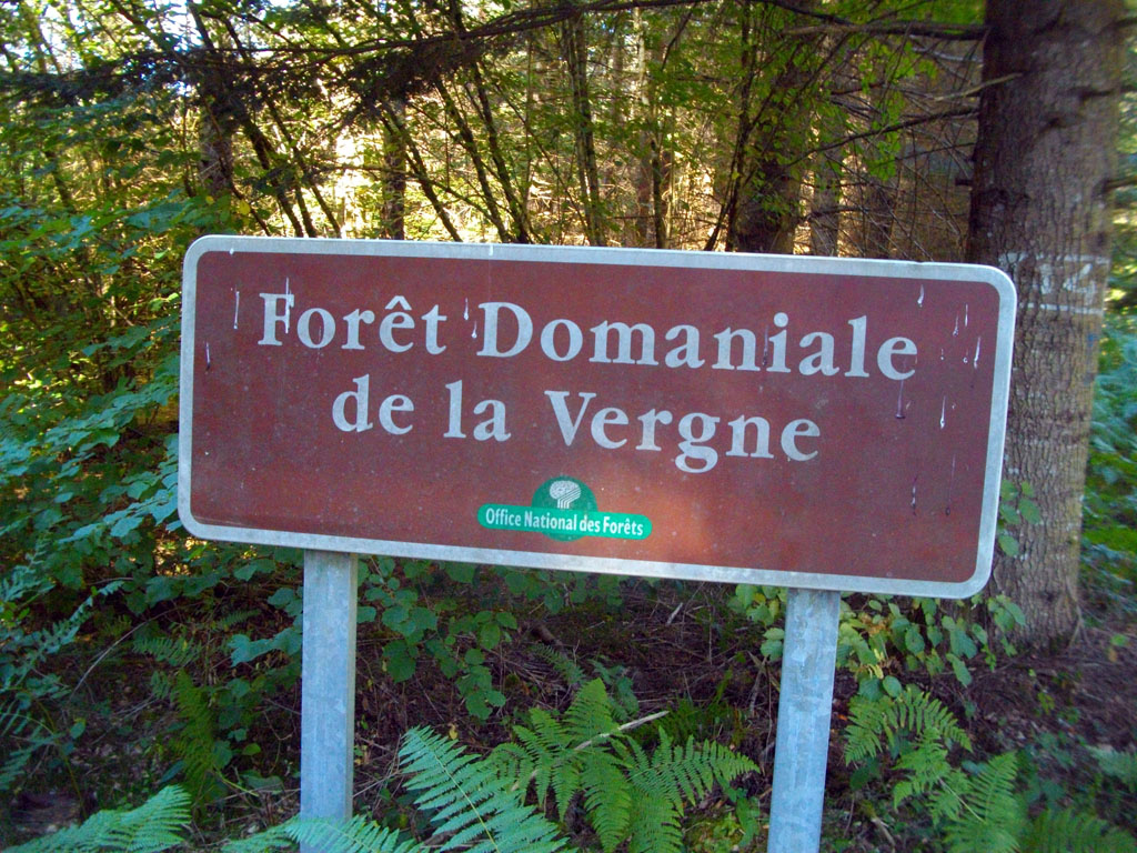 A la découverte de la forêt, Neuvic
