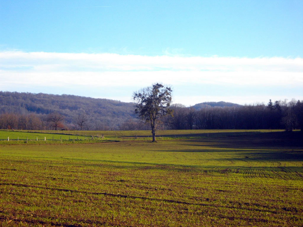 Du Vent-Haut au Vent-Bas, Neuvic - photo 7