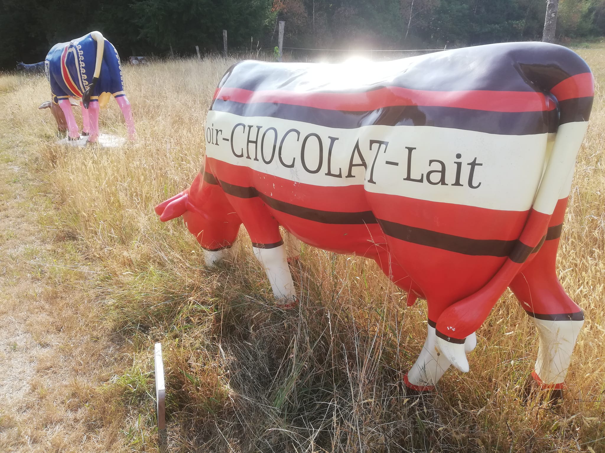 Exposition 'Finc art & cow", Camps-Saint-Mathurin-Léobazel - photo 4