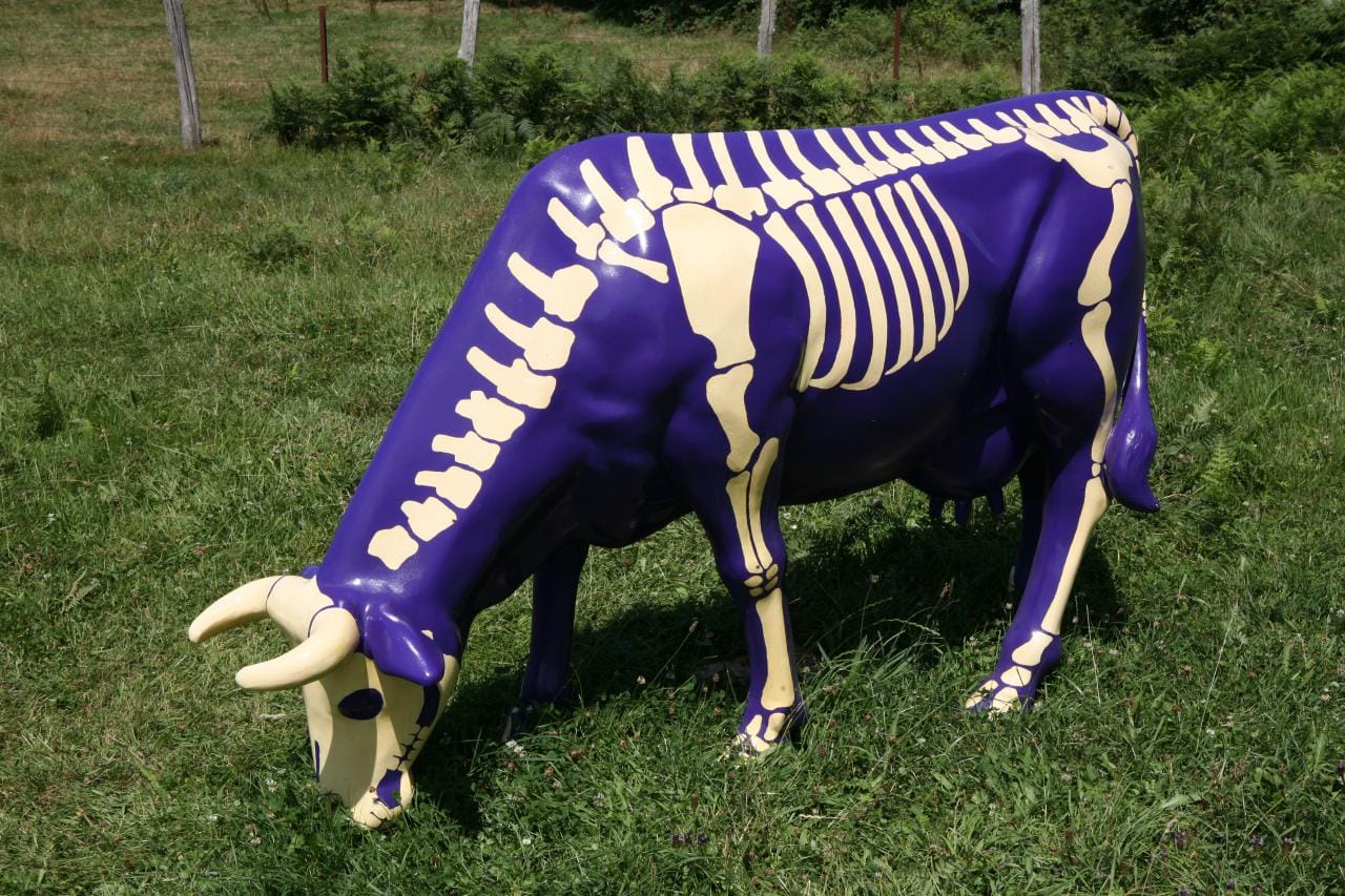 Exposition 'Finc art & cow", Camps-Saint-Mathurin-Léobazel - photo 3