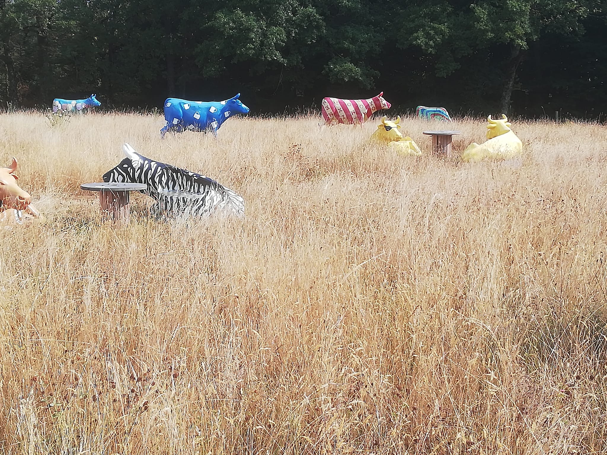 Exposition 'Finc art & cow", Camps-Saint-Mathurin-Léobazel - photo 5