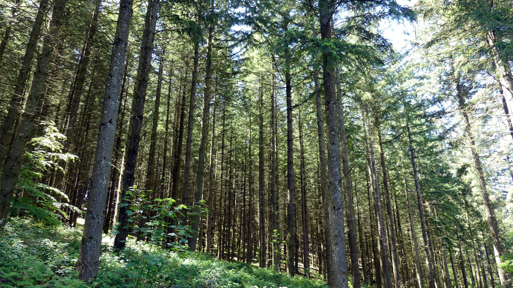 Un air de montagne, Sarroux - Saint Julien - photo 16