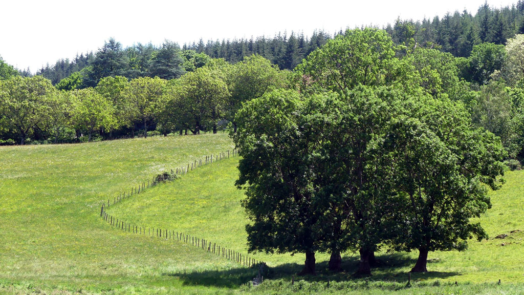 Un air de montagne, Sarroux - Saint Julien - photo 3