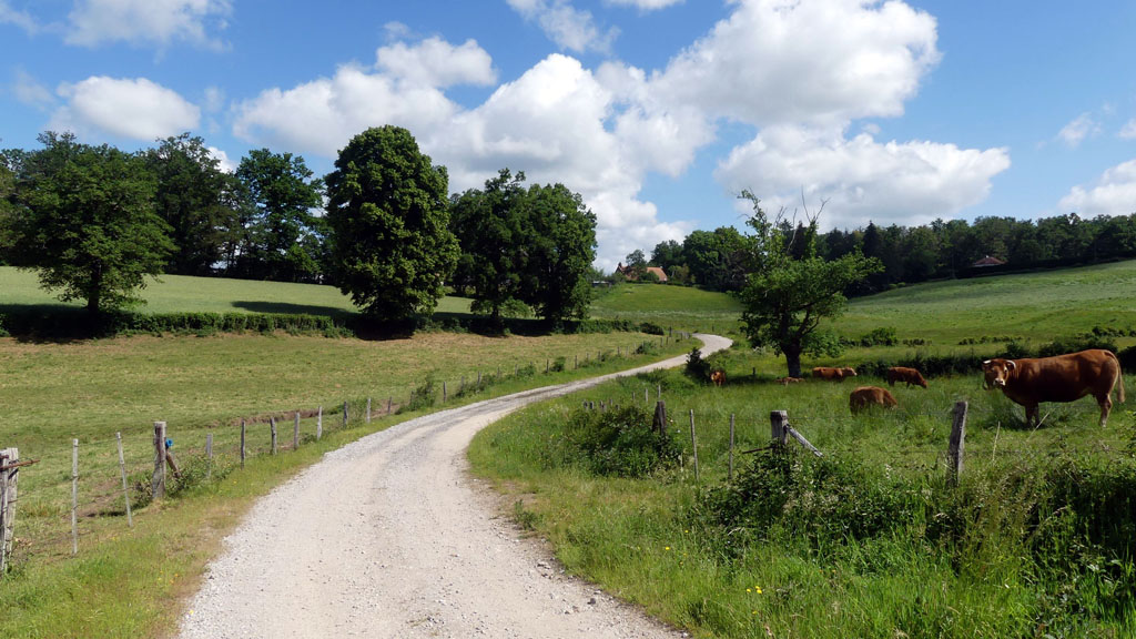 Un air de montagne, Sarroux - Saint Julien - photo 2