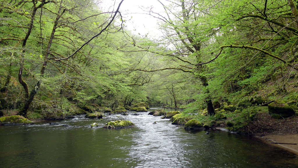Les tours de Merle, Saint-Geniez-ô-Merle - photo 6
