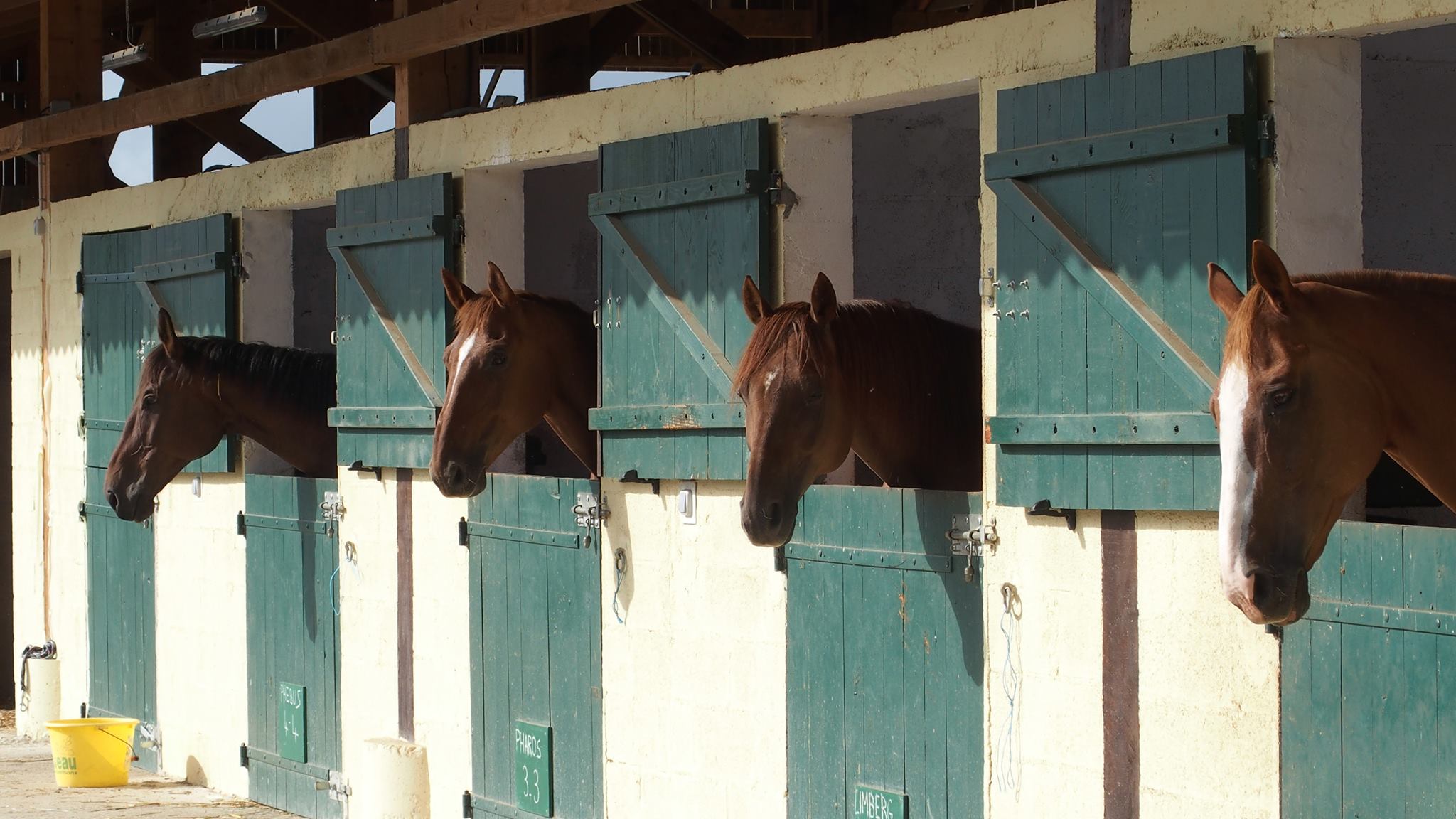 Les Ecuries du Tilleul, Saint-Germain-les-Vergnes - photo 3