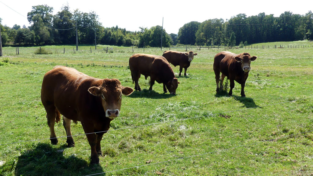 Le rocher des folles, Affieux - photo 10