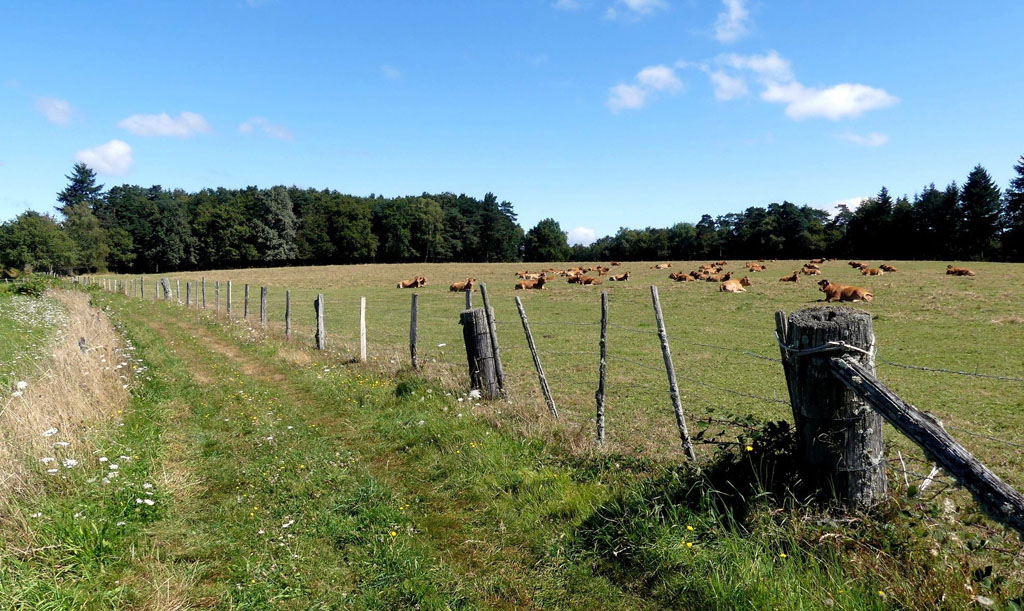 Le rocher des folles, Affieux - photo 5