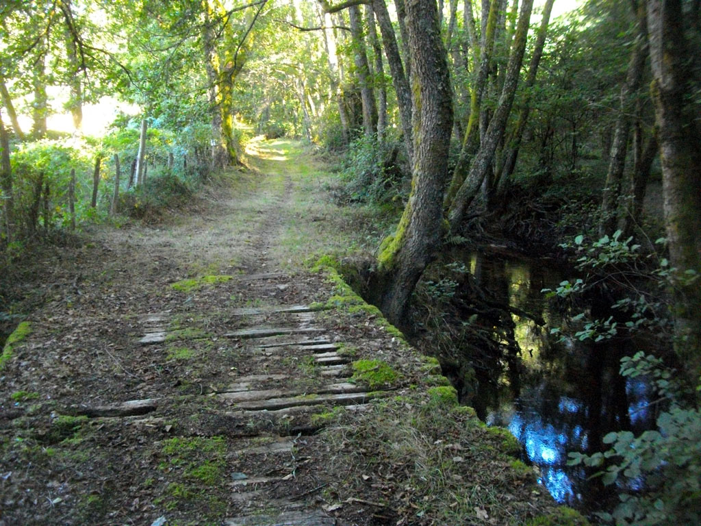 VTT - Gravel - La ligne de crêtes - 30 km - circuit 14 — photo 3